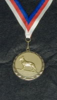 Medaile D13AS