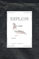 Diplom DL006