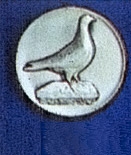 Logo X1 - holub